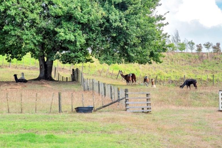 Photo of property in 6 Fletcher Road, Waimauku, 0881