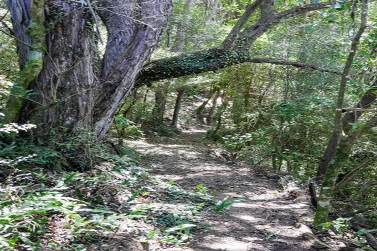 Photo of property in 24 Fred Hollows Way, Glenleith, Dunedin, 9010