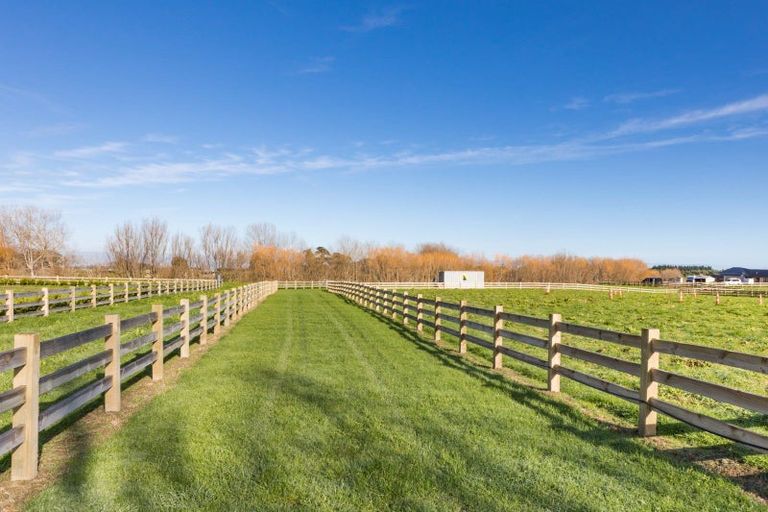 Photo of property in 88 Mahua Road, Feilding, 4777