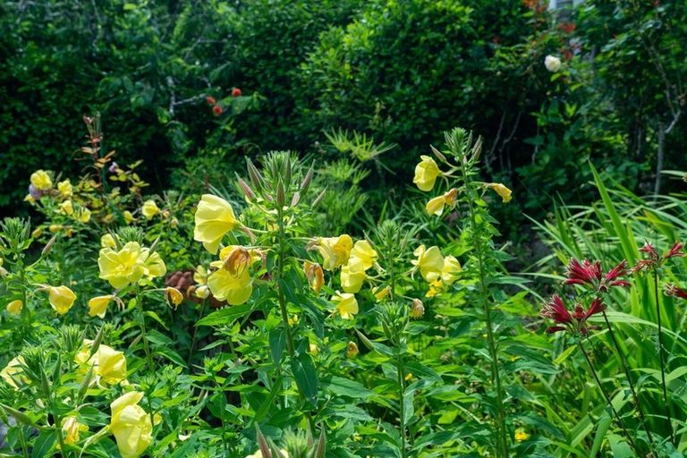 Photo of property in 38 Matai Road, Raumati South, Paraparaumu, 5032