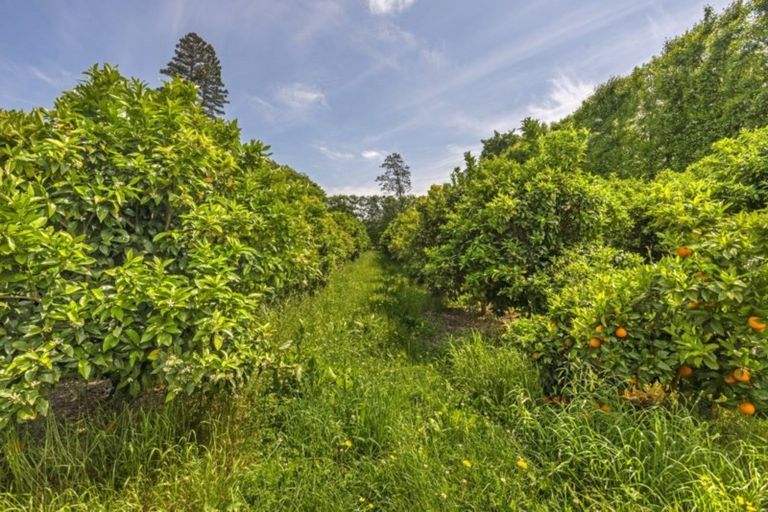 Photo of property in 29 Taurau Valley Road, Manutuke, 4072