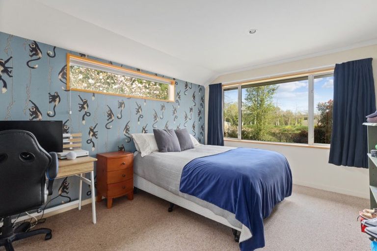 Photo of property in 50 Bassett Road, Rosewill, Timaru, 7975