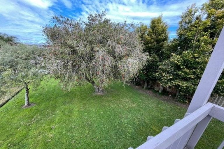 Photo of property in 23 Tobruk Crescent, Milford, Auckland, 0620