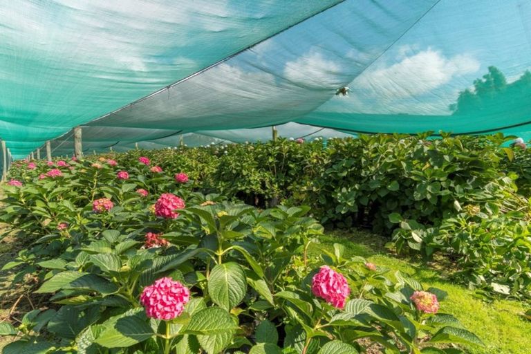 Photo of property in 127 Armstrong Road, Te Puna, Tauranga, 3174