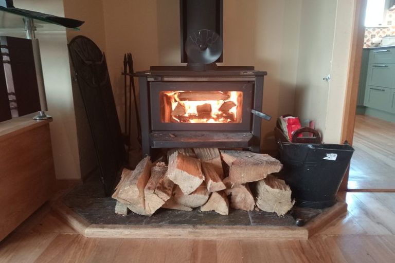 Photo of property in 54 Aotea Street, Tainui, Dunedin, 9013