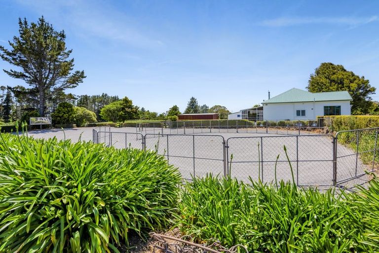 Photo of property in 1 Waingongoro Road, Cardiff, Stratford, 4391