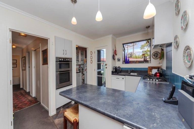 Photo of property in 205 The Terrace, Ashhurst, 4810