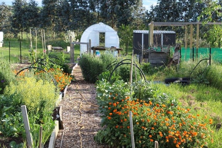 Photo of property in 460 Gladstone Road, Gladstone, Carterton, 5792