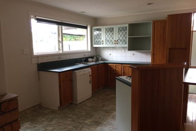 Photo of property in 19 Kakanui Avenue, Hillcrest, Hamilton, 3216