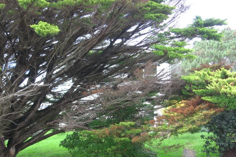 Photo of property in 16 Brunner Road, Glen Eden, Auckland, 0602