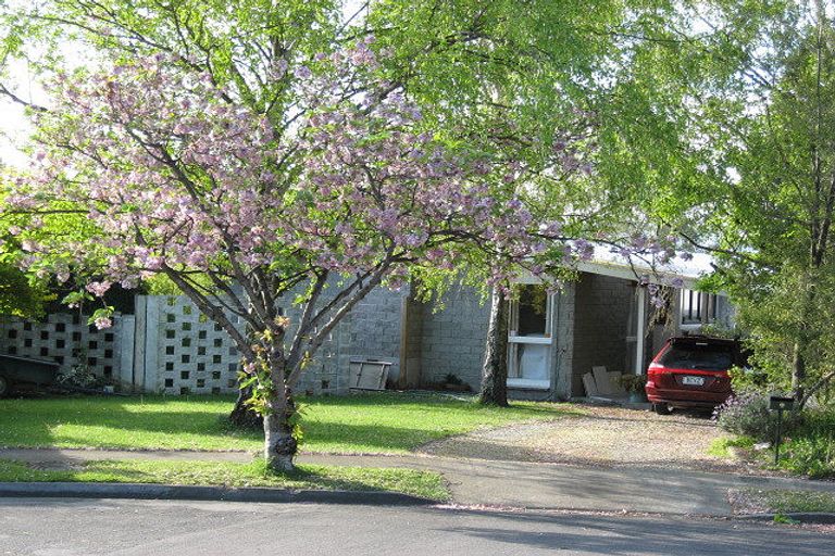 Photo of property in 9 Muirbank Crescent, Witherlea, Blenheim, 7201