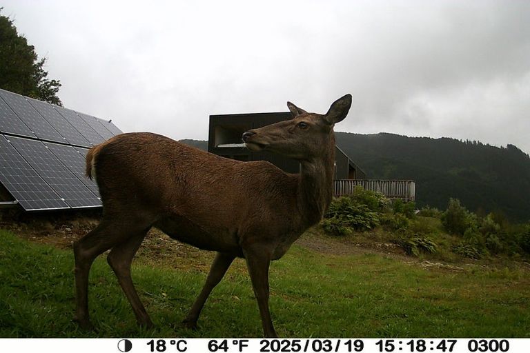 Photo of property in 1309 Otaki Gorge Road, Hautere, Otaki, 5582