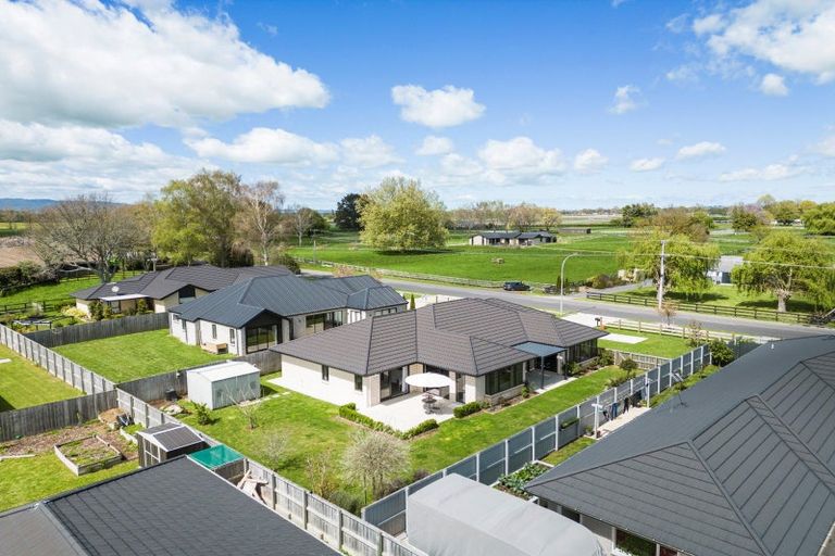 Photo of property in 31 Banks Road, Matamata, 3400