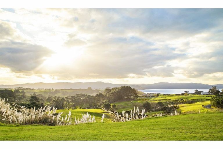 Photo of property in 16 Tearoe Road, Manukau Heads, Waiuku, 2684