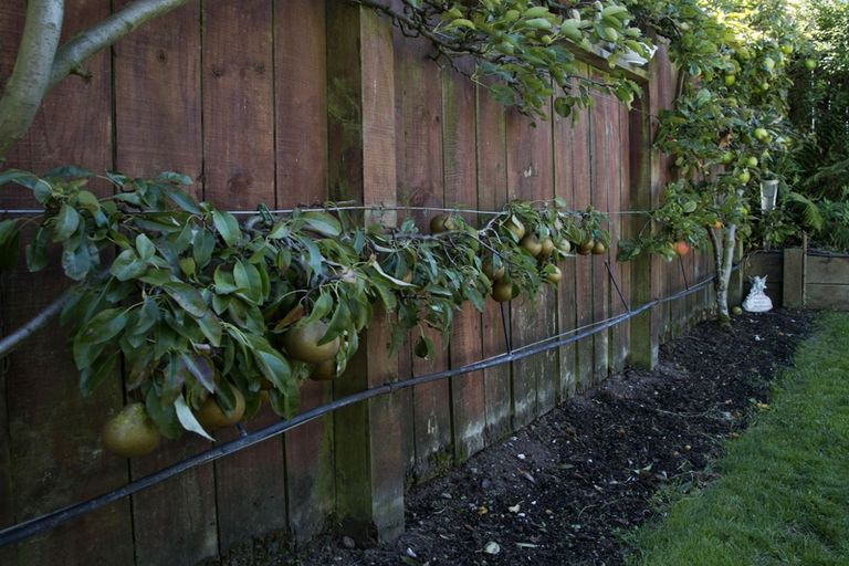 Photo of property in 9 Woburn Place, Nukuhau, Taupo, 3330