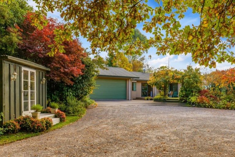 Photo of property in 12 Palmer Mill Road, Wairakei, Taupo, 3384