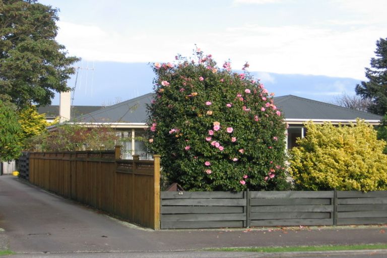 Photo of property in 44 Manson Street, Terrace End, Palmerston North, 4410