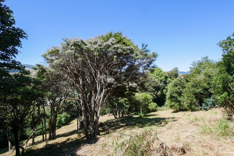 Photo of property in 24 Fred Hollows Way, Glenleith, Dunedin, 9010