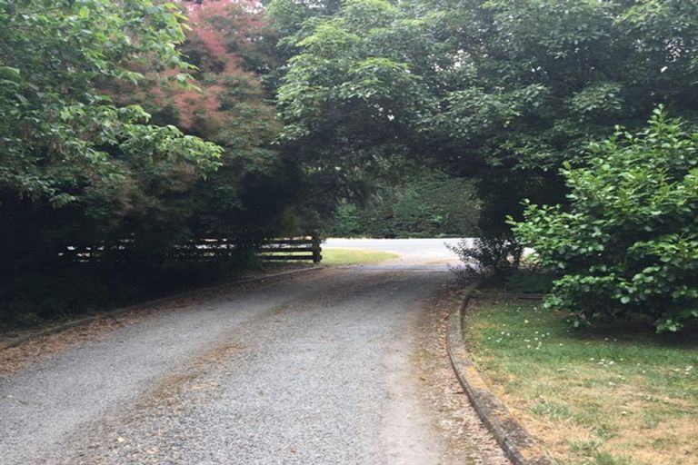 Photo of property in 241 Trices Road, Prebbleton, Christchurch, 7674