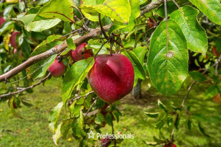 Photo of property in 235 Marchant Road, Kaitoke, Upper Hutt, 5018