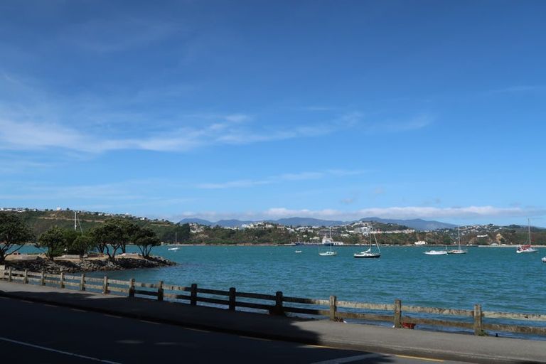 Photo of property in 38 Belvedere Road, Hataitai, Wellington, 6021