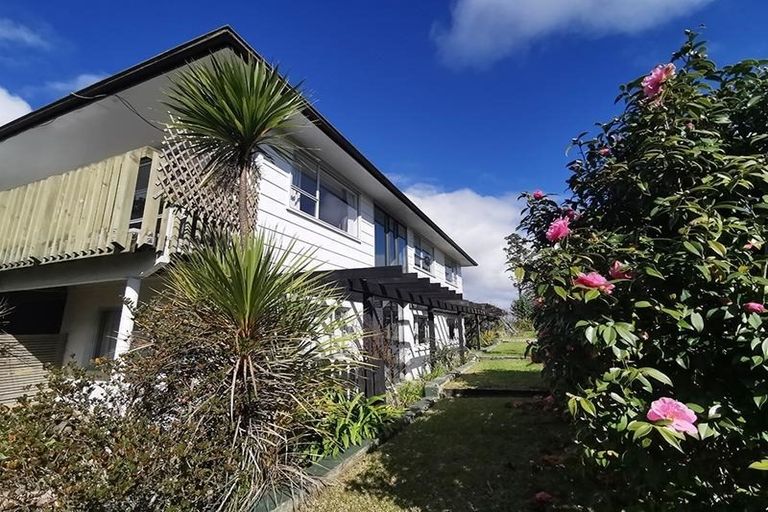 Photo of property in 101 Fairview Avenue, Fairview Heights, Auckland, 0632