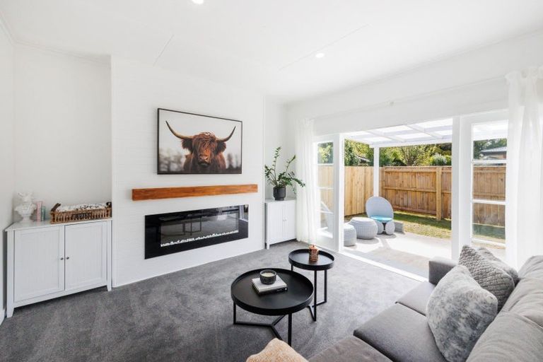 Photo of property in 173 Botanical Road, Takaro, Palmerston North, 4412