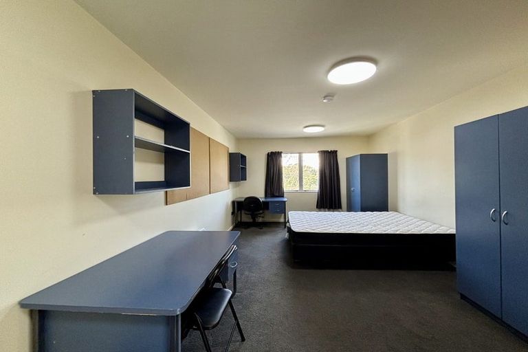 Photo of property in Basin Reserve Complex, 61/4 Sussex Street, Mount Cook, Wellington, 6021