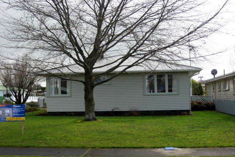 Photo of property in 56 Fergusson Street, Solway, Masterton, 5810