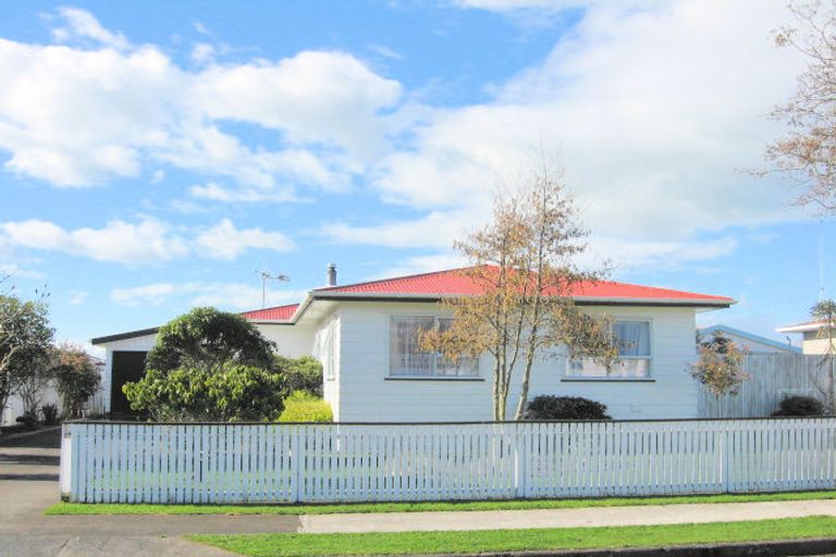 Photo of property in 19 Stirling Street, Levin, 5510