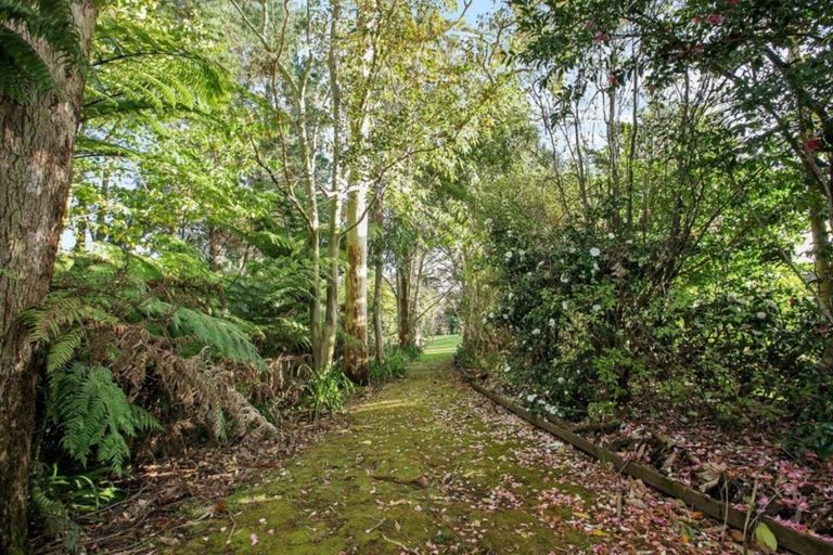 Photo of property in 26b Lawrence Road, Waihi, 3610