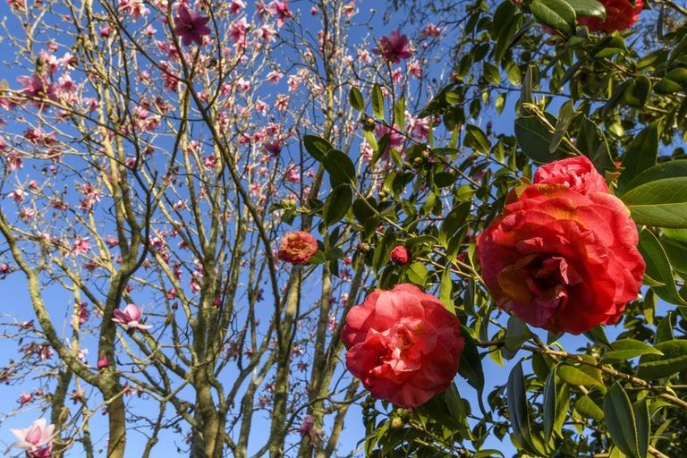 Photo of property in 24b Burns Street, Gate Pa, Tauranga, 3112