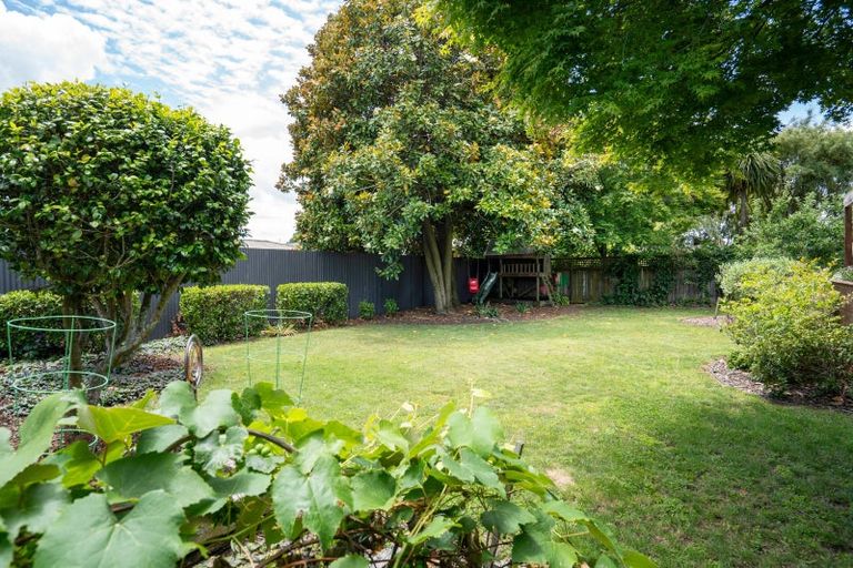 Photo of property in 77c Grey Street, Cambridge, 3434