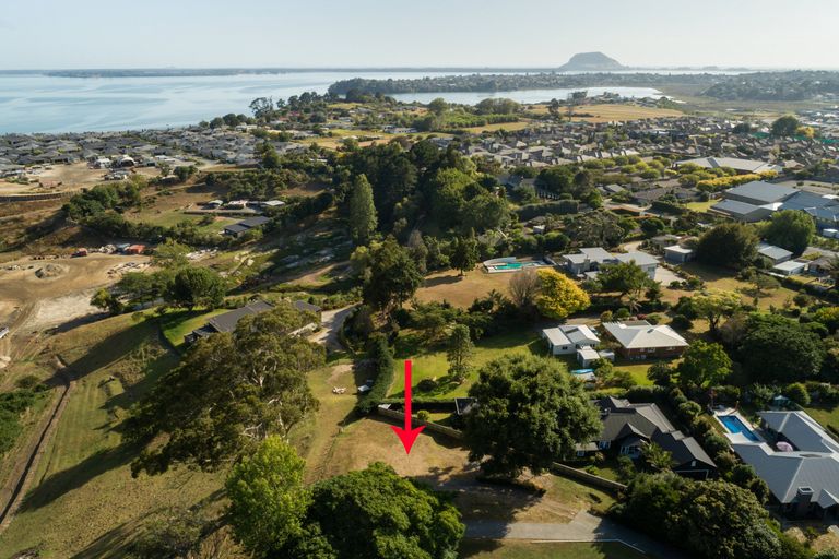 Photo of property in 40 Black Barn Lane, Bethlehem, Tauranga, 3110