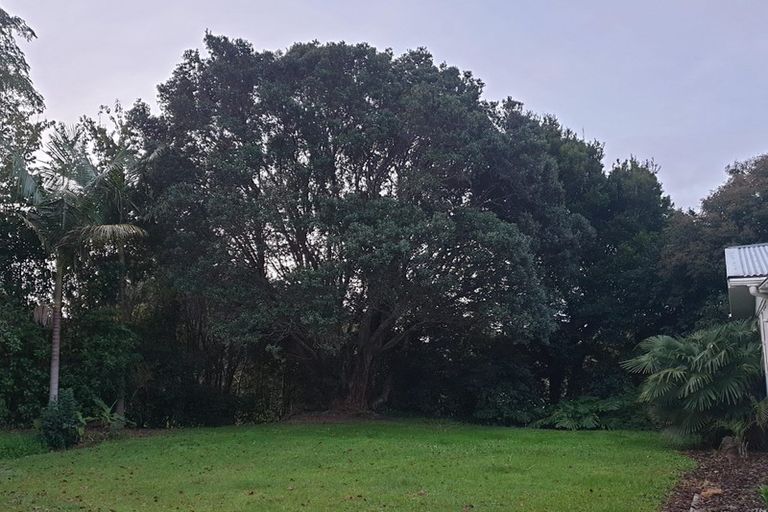 Photo of property in 138 Landing Road, Kerikeri, 0230