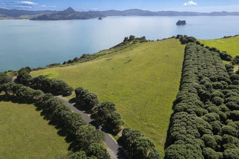 Photo of property in 398e Lees Road, Hahei, Whitianga, 3591