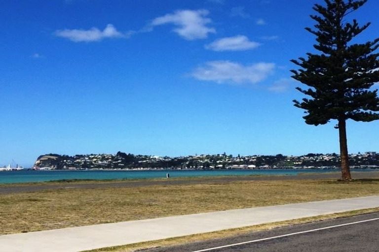 Photo of property in 36 The Esplanade, Westshore, Napier, 4110