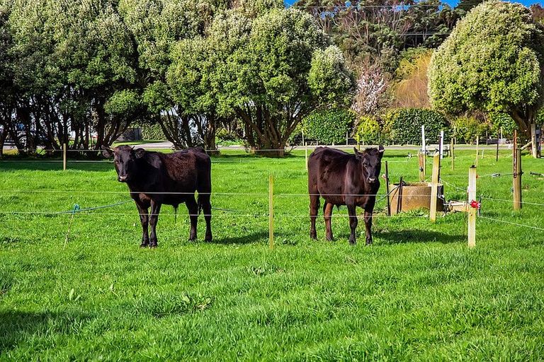 Photo of property in 7 Kaipi Street, Manaia, 4612