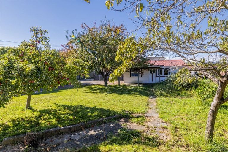 Photo of property in 10a William Street, Levin, 5510