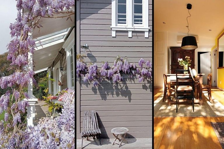 Photo of property in 224 Collingwood Street, Nelson South, Nelson, 7010