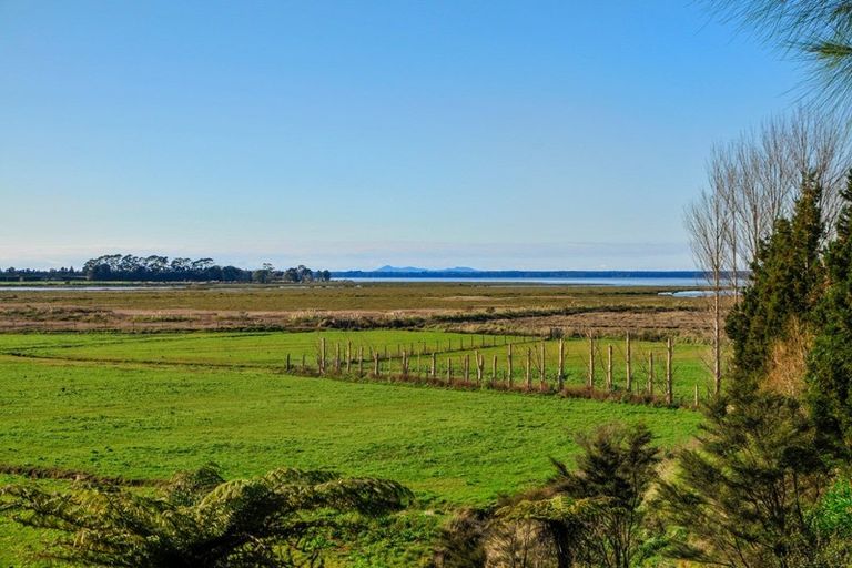 Photo of property in 24 Banks Drive, Aongatete, Katikati, 3181