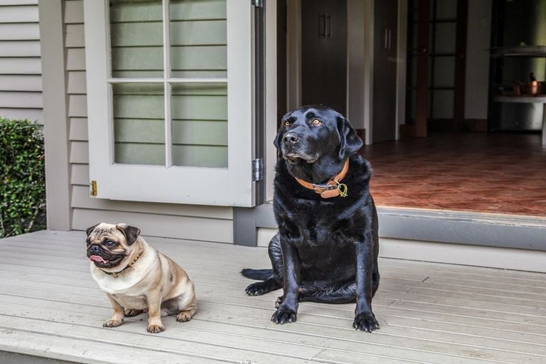 Photo of property in 72 Kuku Road, Pohangina, Ashhurst, 4884