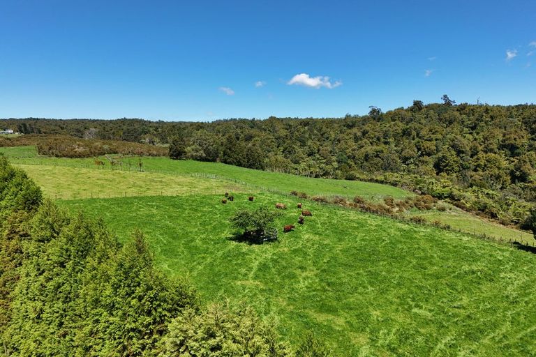 Photo of property in 9d Mcquade Road, Whakamarama, Tauranga, 3179