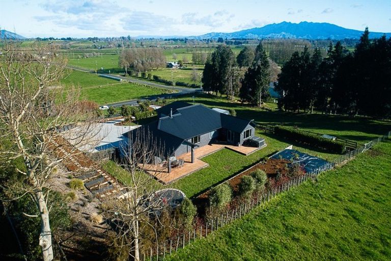 Photo of property in 250 Ryburn Road, Ohaupo, 3883