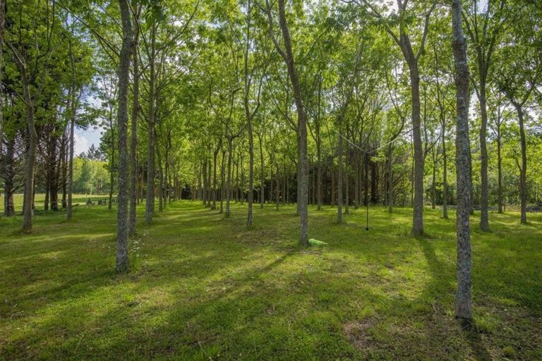 Photo of property in 1200 Pipiwai Road, Ruatangata West, Whangarei, 0176