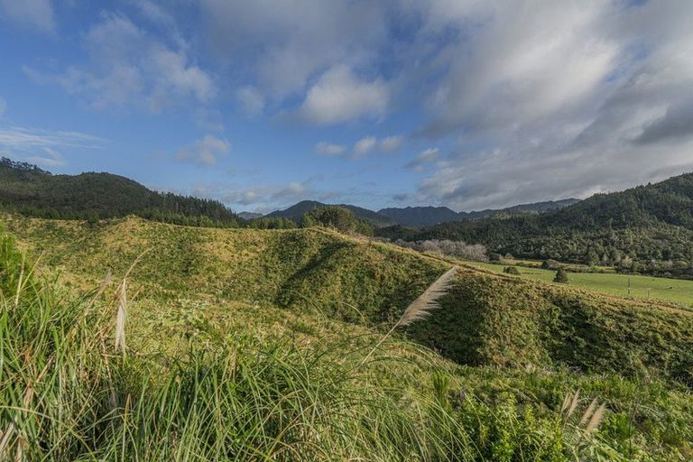 Photo of property in 1870 The 309 Road, Kaimarama, Whitianga, 3591
