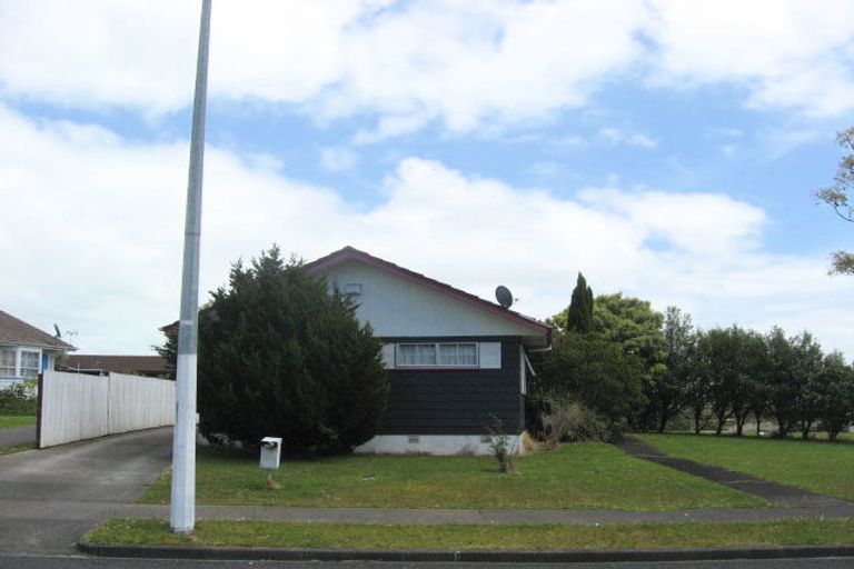 Photo of property in 101 Finlayson Avenue, Clendon Park, Auckland, 2103