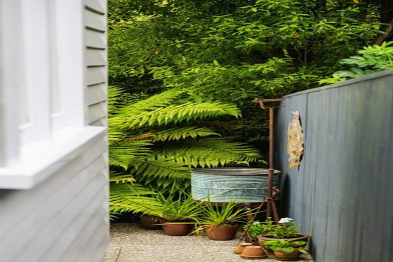 Photo of property in 61 Cannington Road, Maori Hill, Dunedin, 9010