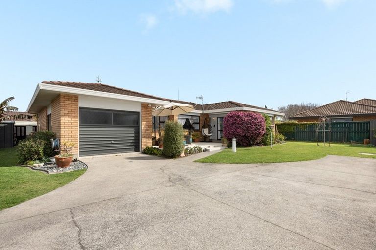 Photo of property in 49b Ridge Street, Otumoetai, Tauranga, 3110
