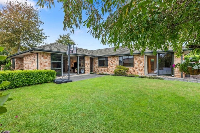 Photo of property in 24 Hansard Place, Bethlehem, Tauranga, 3110